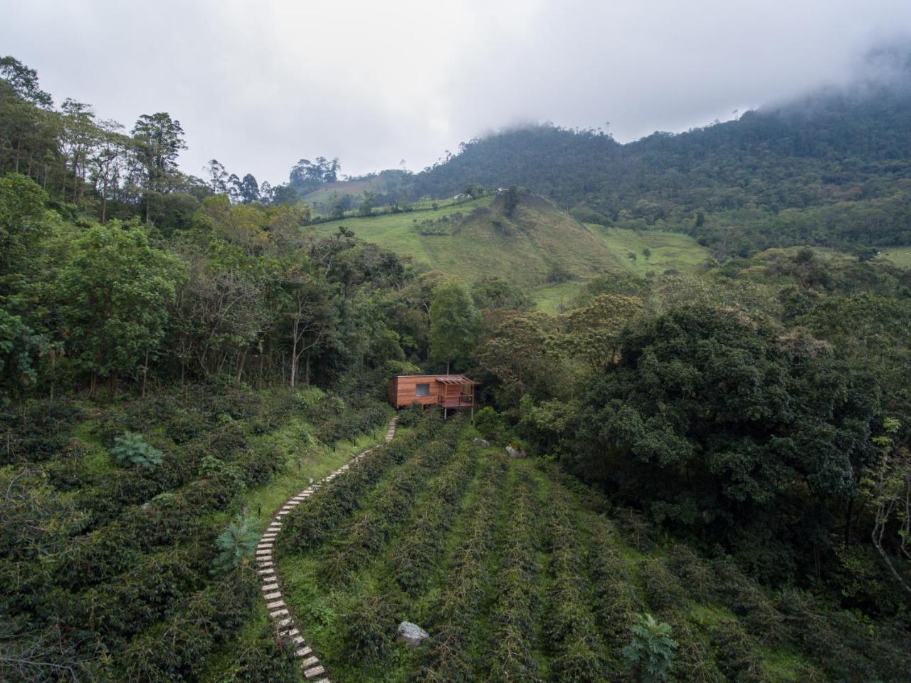 Coffee & Adventure Hotel By La Palma Y El Tucan Zipacon Exterior photo